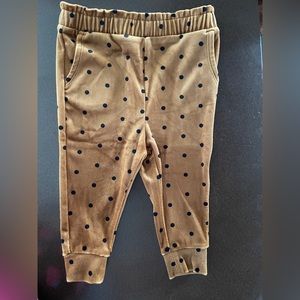 NWT Baby Gap Velvet Polkadot Pant 12-18m